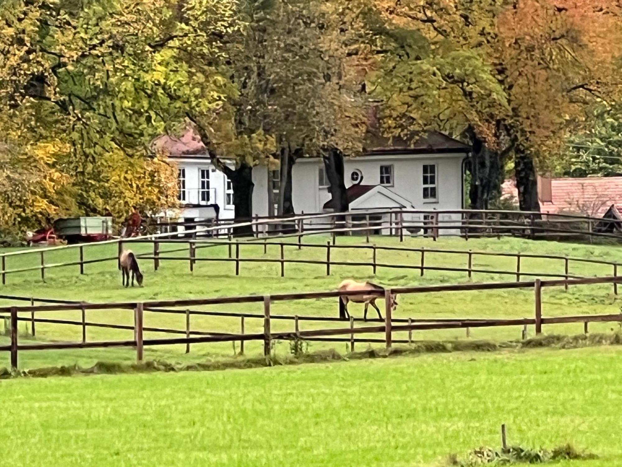 Herrenhaus - Starnberger See - Ammerland Munsing Exterior photo